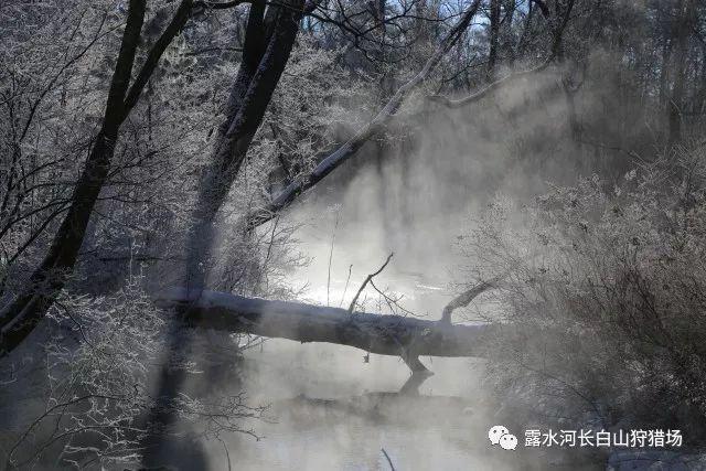 格力电器获得实用新型专利授权:“一种空调系统和车辆”